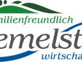 Diemelstadt Logo RGB 2017 01 17  1 