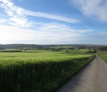 gr&uuml;ne Felder und Feldweg
