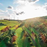 Wachholderheiden am Sommerberg bei Sielen Wachholderheiden am Sommerberg bei Sielen